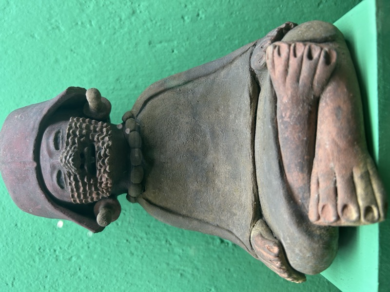 Estudiantes aprendiendo español y explorando la cultura en Oaxaca, México
