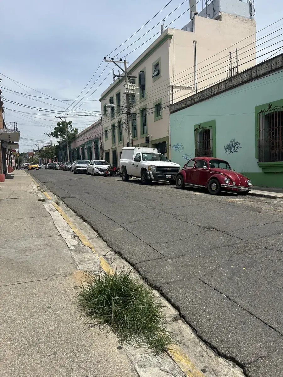 Estudiantes aprendiendo español y explorando la cultura en Oaxaca, México