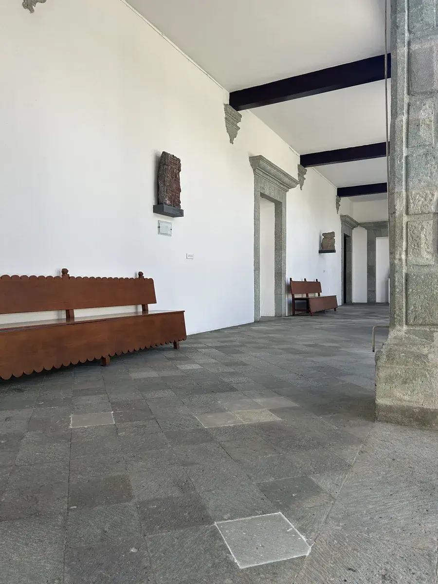 Estudiantes aprendiendo español y explorando la cultura en Oaxaca, México