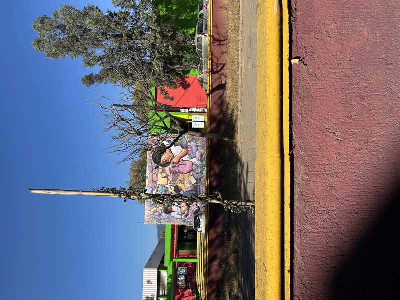 Mural callejero vibrante de artesano en Oaxaca