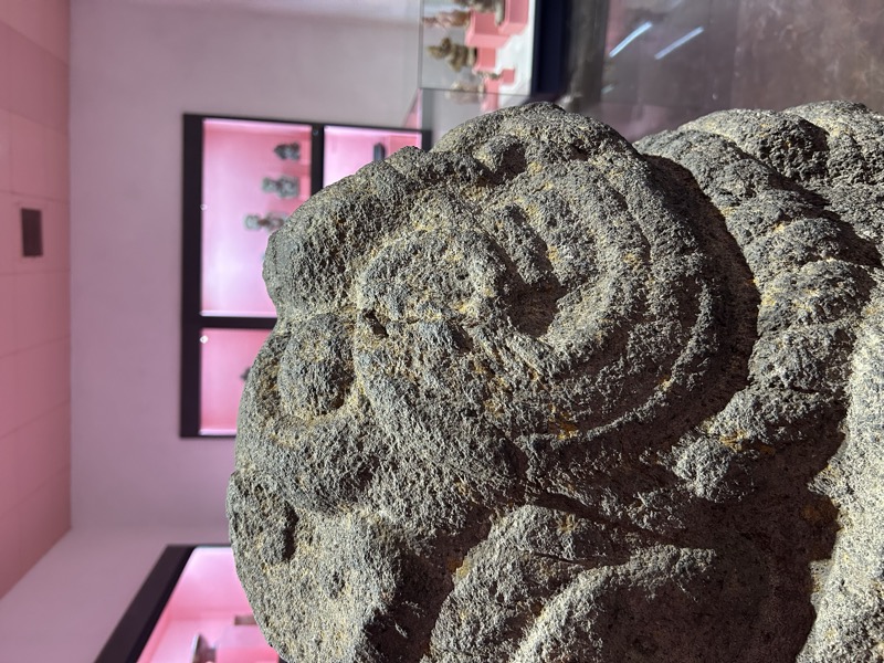 Estudiantes aprendiendo español y explorando la cultura en Oaxaca, México